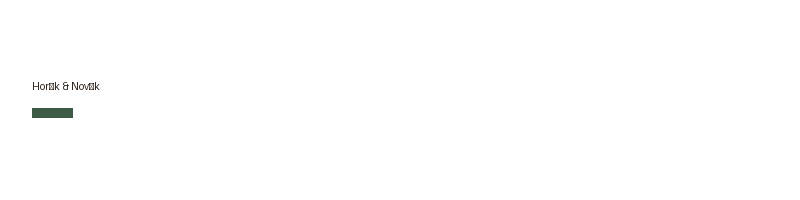 Horák & Novák logo